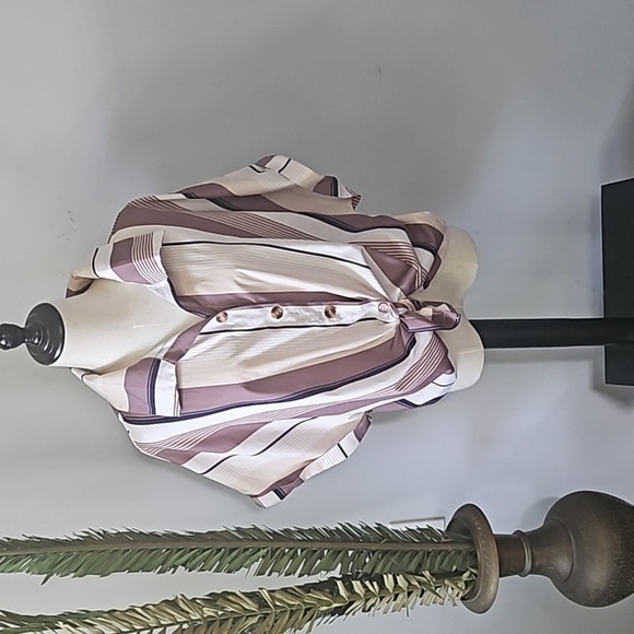 SHEIN Curve Retro 70s Striped Button Down Blouse - Picture 3 of 12